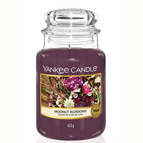 Miglior yankee candle nel 2022 [basato su 50 valutazioni di esperti]