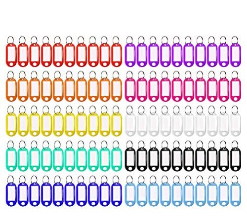 100 portachiavi in plastica scrivibile, targhette portachiavi porta chiavi per chiavi portachiavi con etichetta scrivibile (10 colori)